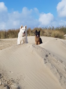 Benito hat Cassy mitgebracht