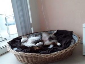 Bonnie im Wohlfühlmodus