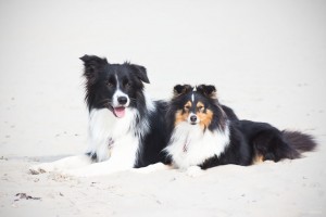 Lya &Heidi ein Traumpaar