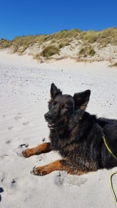 Die schöne "Nelly" gehört zu unseren Stammgästen