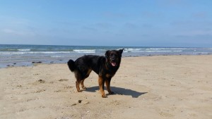"Nelly" ist auch wieder gekommen