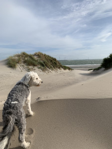 Neo und Happy freuen sich jedes Jahr über den Urlaub