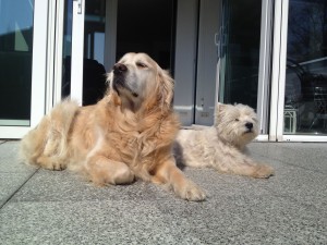 Sam und Ronja