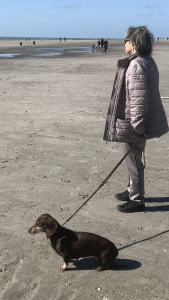 Dackeldame Joy mit Frauchen am Strand